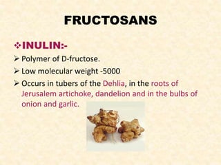 FRUCTOSANS
INULIN:-
 Polymer of D-fructose.
 Low molecular weight -5000
 Occurs in tubers of the Dehlia, in the roots of
Jerusalem artichoke, dandelion and in the bulbs of
onion and garlic.
 