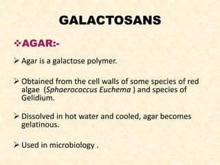 GALACTOSANS
AGAR:-
 Agar is a galactose polymer.
 Obtained from the cell walls of some species of red
algae (Sphaerococcus Euchema ) and species of
Gelidium.
 Dissolved in hot water and cooled, agar becomes
gelatinous.
 Used in microbiology .
-.
-
 