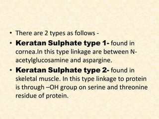 • There are 2 types as follows -
• Keratan Sulphate type 1- found in
cornea.In this type linkage are between N-
acetylglucosamine and aspargine.
• Keratan Sulphate type 2- found in
skeletal muscle. In this type linkage to protein
is through –OH group on serine and threonine
residue of protein.
 