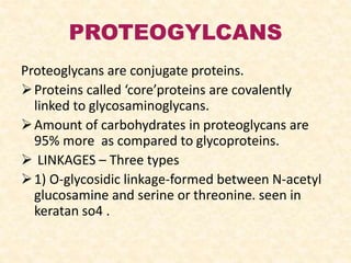 PROTEOGYLCANS
Proteoglycans are conjugate proteins.
Proteins called ‘core’proteins are covalently
linked to glycosaminoglycans.
Amount of carbohydrates in proteoglycans are
95% more as compared to glycoproteins.
 LINKAGES – Three types
1) O-glycosidic linkage-formed between N-acetyl
glucosamine and serine or threonine. seen in
keratan so4 .
 