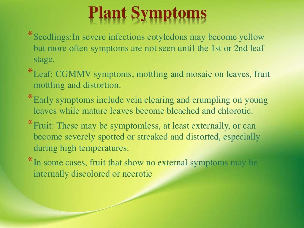 VIRAL DISEASES OF BOTTLE GOURD