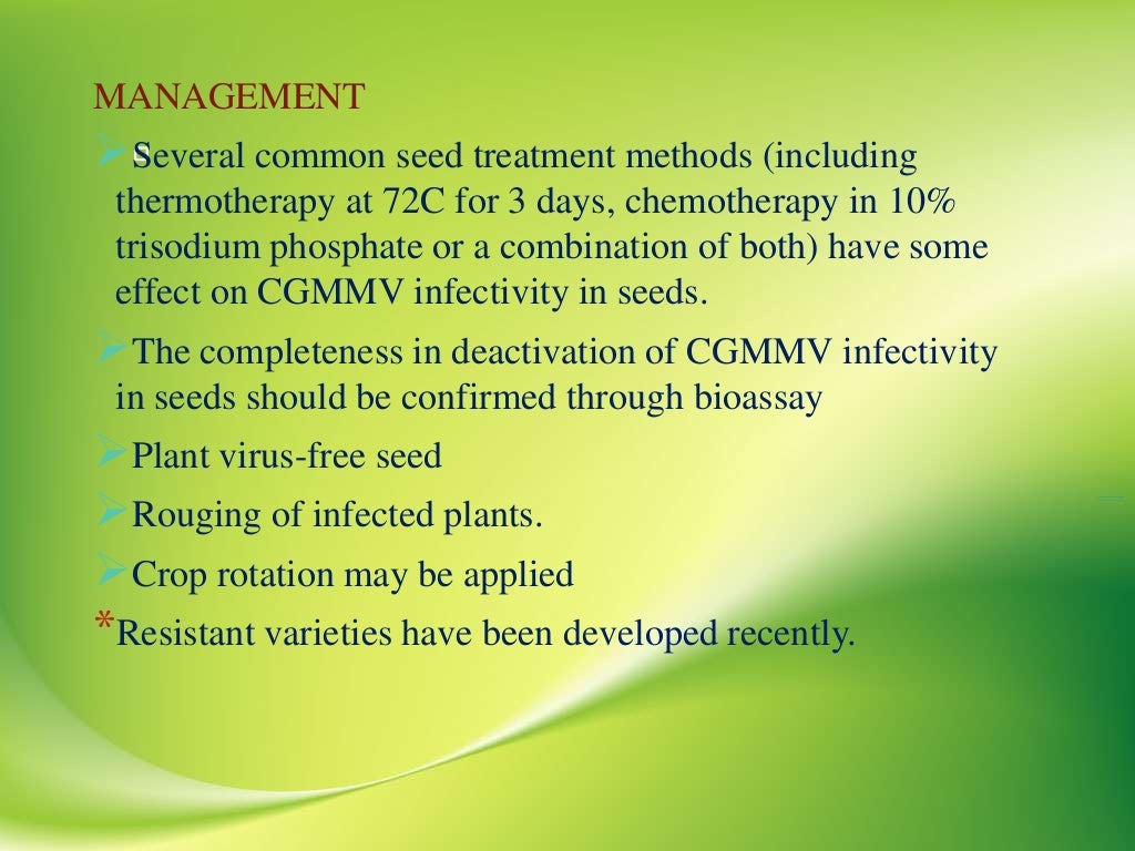 VIRAL DISEASES OF BOTTLE GOURD