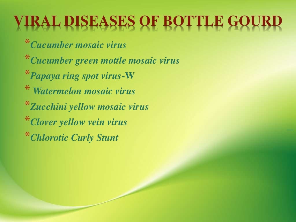 VIRAL DISEASES OF BOTTLE GOURD