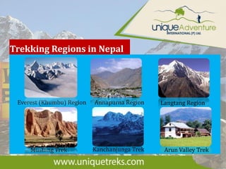 Trekking Regions in Nepal
Everest (Khumbu) Region
Mustang Trek
Annapurna Region
Kanchanjunga Trek
Langtang Region
Arun Valley Trek
 