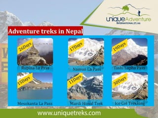 Adventure treks in Nepal
Rupina La Pass
Mesokanta La Pass
Namun La Pass
Mardi Himal Trek
Tashi Lapha Pass
Ice Col Trekking
 