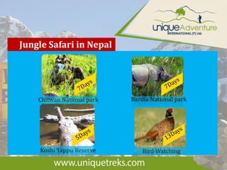 Jungle Safari in Nepal
Chitwan National park
Koshi Tappu Reserve
Bardia National park
Bird Watching
 
