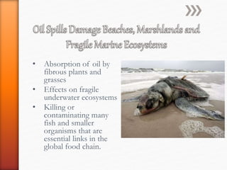 • Absorption of oil by
fibrous plants and
grasses
• Effects on fragile
underwater ecosystems
• Killing or
contaminating many
fish and smaller
organisms that are
essential links in the
global food chain.
 