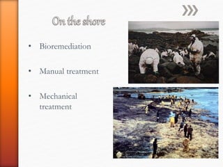 • Bioremediation
• Manual treatment
• Mechanical
treatment
 