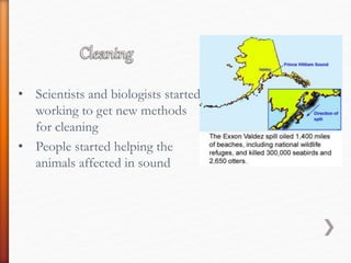 • Scientists and biologists started
working to get new methods
for cleaning
• People started helping the
animals affected in sound
 