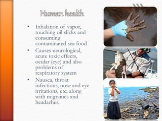 • Inhalation of vapor,
touching oil slicks and
consuming
contaminated sea food
• Causes neurological,
acute toxic effects,
ocular (eye) and also
problems of
respiratory system
• Nausea, throat
infections, nose and eye
irritations, etc. along
with migraines and
headaches.
 