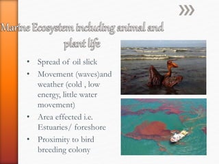 • Spread of oil slick
• Movement (waves)and
weather (cold , low
energy, little water
movement)
• Area effected i.e.
Estuaries/ foreshore
• Proximity to bird
breeding colony
 