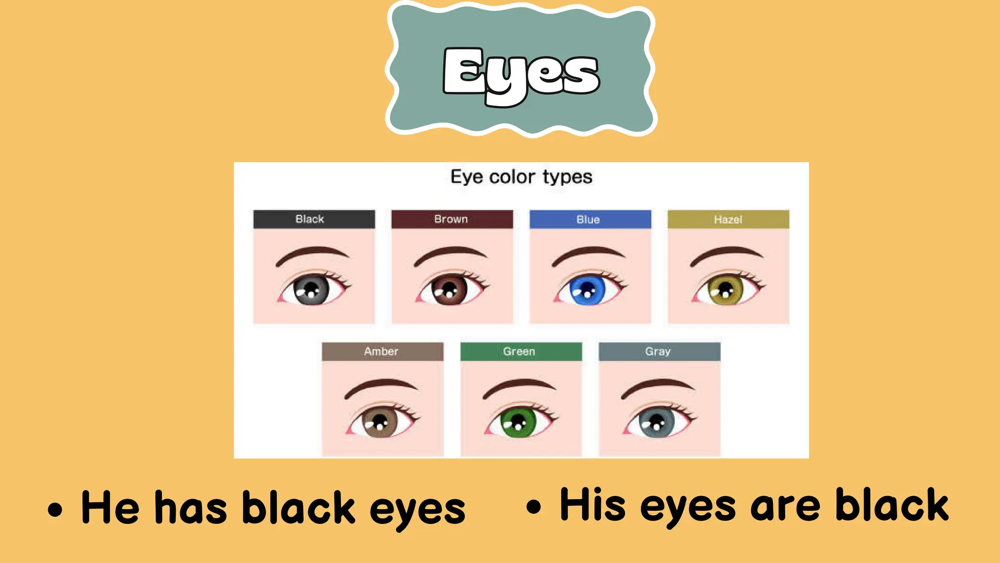 Eyes
Eyes
He has black eyes His eyes are black
 