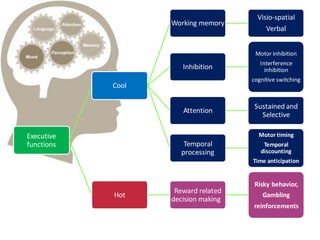 Executive
functions
Cool
Working memory
Visio-spatial
Verbal
Inhibition
Motor inhibition
Interference
inhibition
cognitive switching
Attention
Sustained and
Selective
Temporal
processing
Motor timing
Temporal
discounting
Time anticipation
Hot
Reward related
decision making
Risky behavior,
Gambling
reinforcements
 