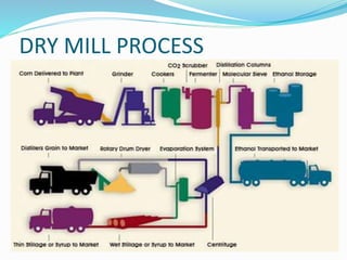 DRY MILL PROCESS
 