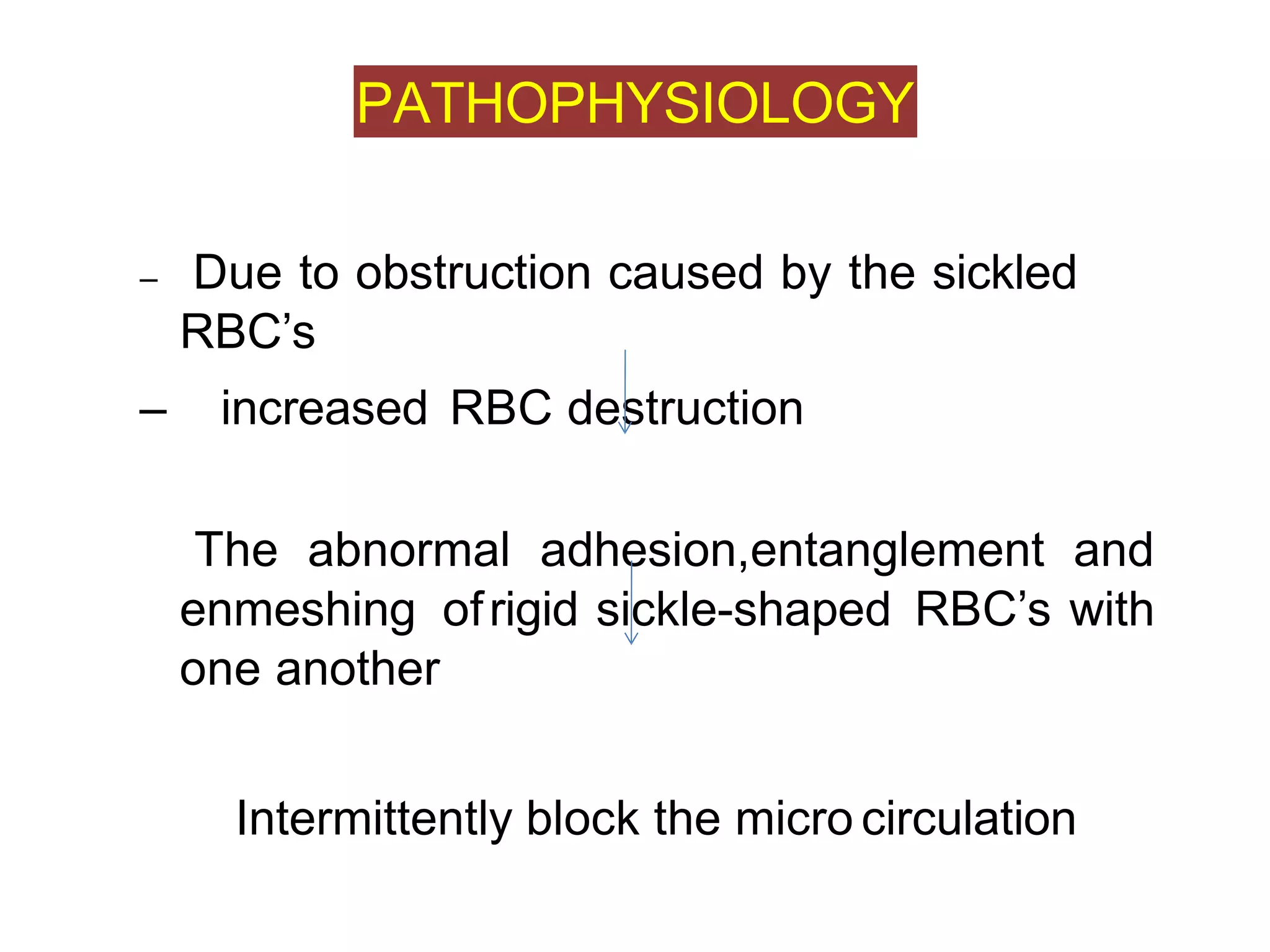 REVIEW OF ANEMIA | PPTX
