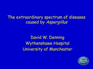 The extraordinary spectrum of diseases
        caused by Aspergillus


           David W. Denning
        Wythenshawe Hospital
       University of Manchester
 