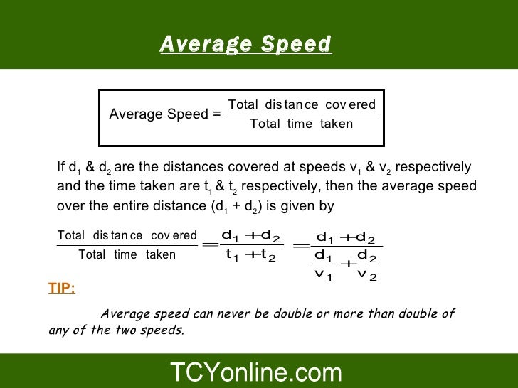 average speed of a cat