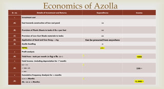 Ppt on Azolla | PPTX