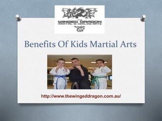 Benefits Of Kids Martial Arts
http://www.thewingeddragon.com.au/
 