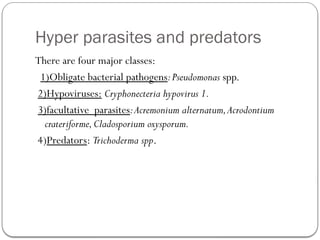 Hyperparasite Example Biological Control of Fungal Pathogens and Insect Pests: Mechanisms and ...