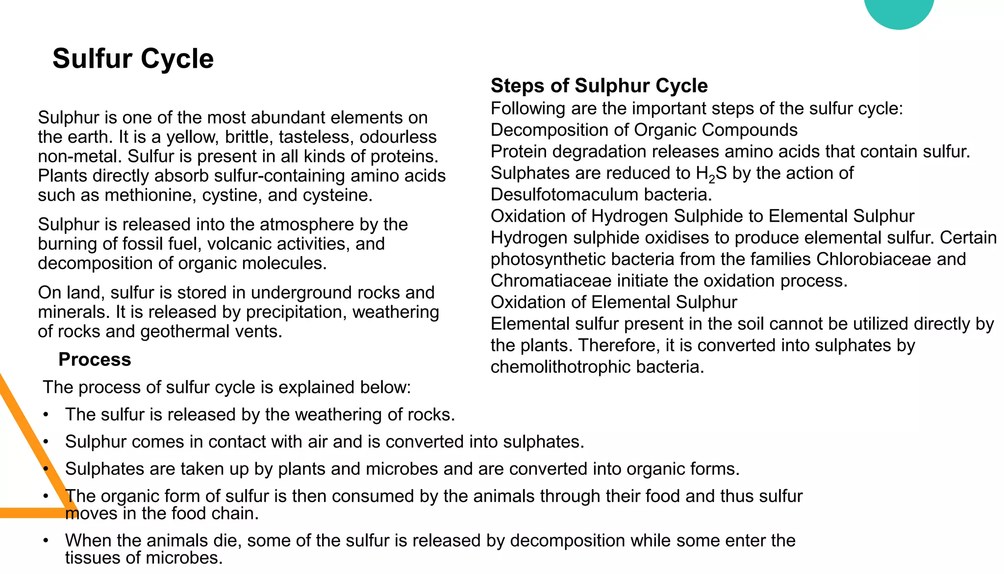Sulfur Cycle
Sulphur is one of the most abundant elements on
the earth. It is a yellow, brittle, tasteless, odourless
non-metal. Sulfur is present in all kinds of proteins.
Plants directly absorb sulfur-containing amino acids
such as methionine, cystine, and cysteine.
Sulphur is released into the atmosphere by the
burning of fossil fuel, volcanic activities, and
decomposition of organic molecules.
On land, sulfur is stored in underground rocks and
minerals. It is released by precipitation, weathering
of rocks and geothermal vents.
Process
The process of sulfur cycle is explained below:
• The sulfur is released by the weathering of rocks.
• Sulphur comes in contact with air and is converted into sulphates.
• Sulphates are taken up by plants and microbes and are converted into organic forms.
• The organic form of sulfur is then consumed by the animals through their food and thus sulfur
moves in the food chain.
• When the animals die, some of the sulfur is released by decomposition while some enter the
tissues of microbes.
Steps of Sulphur Cycle
Following are the important steps of the sulfur cycle:
Decomposition of Organic Compounds
Protein degradation releases amino acids that contain sulfur.
Sulphates are reduced to H2S by the action of
Desulfotomaculum bacteria.
Oxidation of Hydrogen Sulphide to Elemental Sulphur
Hydrogen sulphide oxidises to produce elemental sulfur. Certain
photosynthetic bacteria from the families Chlorobiaceae and
Chromatiaceae initiate the oxidation process.
Oxidation of Elemental Sulphur
Elemental sulfur present in the soil cannot be utilized directly by
the plants. Therefore, it is converted into sulphates by
chemolithotrophic bacteria.
 