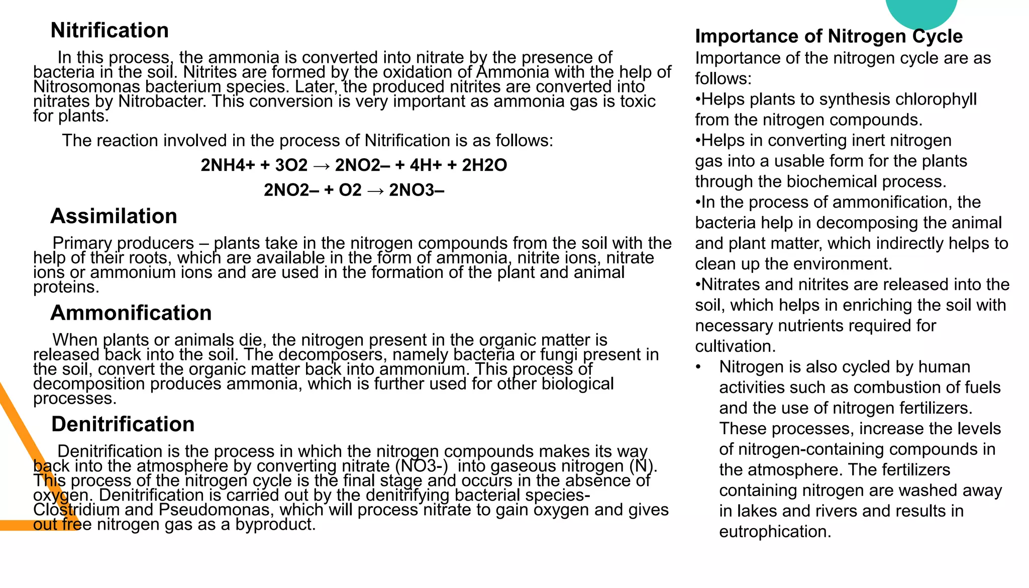 Nitrification
In this process, the ammonia is converted into nitrate by the presence of
bacteria in the soil. Nitrites are formed by the oxidation of Ammonia with the help of
Nitrosomonas bacterium species. Later, the produced nitrites are converted into
nitrates by Nitrobacter. This conversion is very important as ammonia gas is toxic
for plants.
The reaction involved in the process of Nitrification is as follows:
2NH4+ + 3O2 → 2NO2– + 4H+ + 2H2O
2NO2– + O2 → 2NO3–
Assimilation
Primary producers – plants take in the nitrogen compounds from the soil with the
help of their roots, which are available in the form of ammonia, nitrite ions, nitrate
ions or ammonium ions and are used in the formation of the plant and animal
proteins.
Ammonification
When plants or animals die, the nitrogen present in the organic matter is
released back into the soil. The decomposers, namely bacteria or fungi present in
the soil, convert the organic matter back into ammonium. This process of
decomposition produces ammonia, which is further used for other biological
processes.
Denitrification
Denitrification is the process in which the nitrogen compounds makes its way
back into the atmosphere by converting nitrate (NO3-) into gaseous nitrogen (N).
This process of the nitrogen cycle is the final stage and occurs in the absence of
oxygen. Denitrification is carried out by the denitrifying bacterial species-
Clostridium and Pseudomonas, which will process nitrate to gain oxygen and gives
out free nitrogen gas as a byproduct.
Importance of Nitrogen Cycle
Importance of the nitrogen cycle are as
follows:
•Helps plants to synthesis chlorophyll
from the nitrogen compounds.
•Helps in converting inert nitrogen
gas into a usable form for the plants
through the biochemical process.
•In the process of ammonification, the
bacteria help in decomposing the animal
and plant matter, which indirectly helps to
clean up the environment.
•Nitrates and nitrites are released into the
soil, which helps in enriching the soil with
necessary nutrients required for
cultivation.
• Nitrogen is also cycled by human
activities such as combustion of fuels
and the use of nitrogen fertilizers.
These processes, increase the levels
of nitrogen-containing compounds in
the atmosphere. The fertilizers
containing nitrogen are washed away
in lakes and rivers and results in
eutrophication.
 