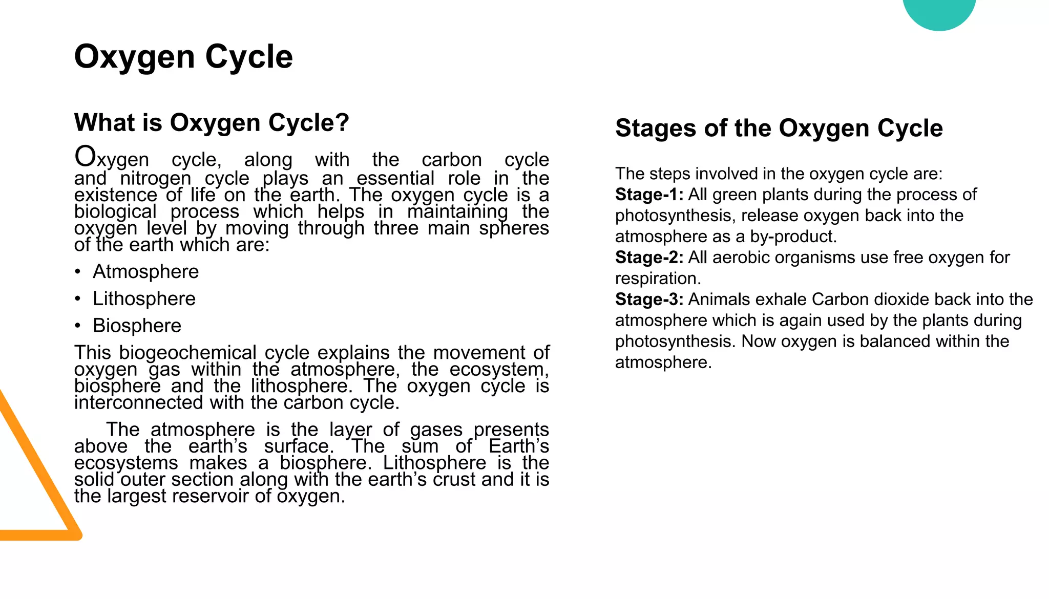 Oxygen Cycle
What is Oxygen Cycle?
Oxygen cycle, along with the carbon cycle
and nitrogen cycle plays an essential role in the
existence of life on the earth. The oxygen cycle is a
biological process which helps in maintaining the
oxygen level by moving through three main spheres
of the earth which are:
• Atmosphere
• Lithosphere
• Biosphere
This biogeochemical cycle explains the movement of
oxygen gas within the atmosphere, the ecosystem,
biosphere and the lithosphere. The oxygen cycle is
interconnected with the carbon cycle.
The atmosphere is the layer of gases presents
above the earth’s surface. The sum of Earth’s
ecosystems makes a biosphere. Lithosphere is the
solid outer section along with the earth’s crust and it is
the largest reservoir of oxygen.
Stages of the Oxygen Cycle
The steps involved in the oxygen cycle are:
Stage-1: All green plants during the process of
photosynthesis, release oxygen back into the
atmosphere as a by-product.
Stage-2: All aerobic organisms use free oxygen for
respiration.
Stage-3: Animals exhale Carbon dioxide back into the
atmosphere which is again used by the plants during
photosynthesis. Now oxygen is balanced within the
atmosphere.
 