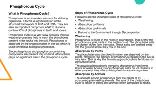 Ppt on Biogeochemical Cycle USacademy.in
