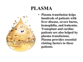 PLASMA 
• Plasma transfusion helps 
hundreds of patients with 
liver disease, severe burns, 
hemophilia, and leukemia. 
Transplant and cardiac 
patients are also helped by 
plasma transfusions. 
Plasma provides essential 
clotting factors to these 
patients. 
 