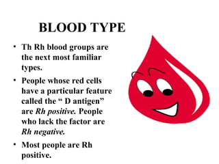 BLOOD TYPE 
• Th Rh blood groups are 
the next most familiar 
types. 
• People whose red cells 
have a particular feature 
called the “ D antigen” 
are Rh positive. People 
who lack the factor are 
Rh negative. 
• Most people are Rh 
positive. 
 