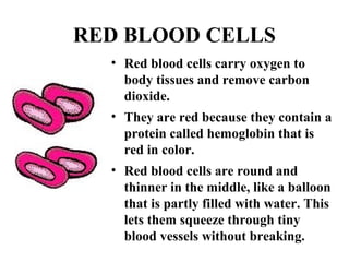 RED BLOOD CELLS 
• Red blood cells carry oxygen to 
body tissues and remove carbon 
dioxide. 
• They are red because they contain a 
protein called hemoglobin that is 
red in color. 
• Red blood cells are round and 
thinner in the middle, like a balloon 
that is partly filled with water. This 
lets them squeeze through tiny 
blood vessels without breaking. 
 