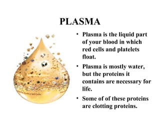 PLASMA 
• Plasma is the liquid part 
of your blood in which 
red cells and platelets 
float. 
• Plasma is mostly water, 
but the proteins it 
contains are necessary for 
life. 
• Some of of these proteins 
are clotting proteins. 
 