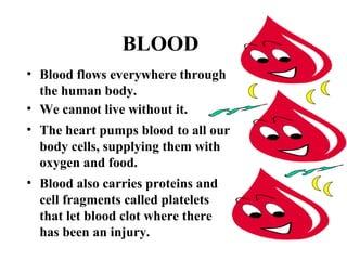 BLOOD 
• Blood flows everywhere through 
the human body. 
• We cannot live without it. 
• The heart pumps blood to all our 
body cells, supplying them with 
oxygen and food. 
• Blood also carries proteins and 
cell fragments called platelets 
that let blood clot where there 
has been an injury. 
 
