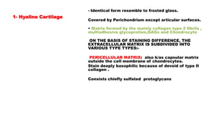 1- Hyaline Cartilage
• Identical form resemble to frosted glass.
Covered by Perichondrium except articular surfaces.
• Matrix formed by the mainly collagen type 2 fibrils ,
multiadhesive glycoprotien,GAGs and Chondrocyte
ON THE BASIS OF STAINING DIFFERENCE, THE
EXTRACELLULAR MATRIX IS SUBDIVIDED INTO
VARIOUS TYPE TYPES:-
PERICELLULAR MATRIX: also k/as capsular matrix
outside the cell membrane of chondrocytes.
Stain deeply basophilic because of devoid of type II
collagen .
Consists chiefly sulfated protoglycans
 