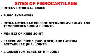 SITES OF FIBROCARTILAGE
• INTERVERTIBERAL DISICS
• PUBIC SYMPHYSIS
• INTRA-ARTICULAR DISCSOF STERNOCLAVICULAR AND
TEMPOROMENDIBULAR JOINTS
• MENISCI OF KNEE JOINT
• LABERUMGLENOID (SHOULDER) AND LABRUM
ACETABULAR (HIP) JOINTS
• LIGAMENTUM TERES OF HIP JOINT
 