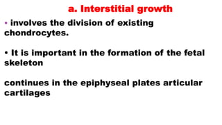 a. Interstitial growth
• involves the division of existing
chondrocytes.
• It is important in the formation of the fetal
skeleton
continues in the epiphyseal plates articular
cartilages
 