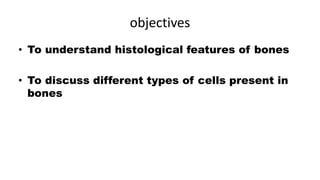 objectives
• To understand histological features of bones
• To discuss different types of cells present in
bones
 