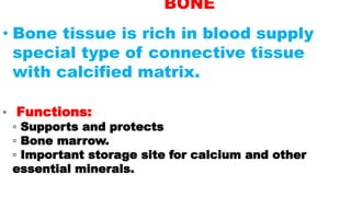 BONE
• Bone tissue is rich in blood supply
special type of connective tissue
with calcified matrix.
• Functions:
▫ Supports and protects
▫ Bone marrow.
▫ Important storage site for calcium and other
essential minerals.
 