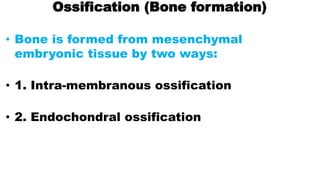 Ossification (Bone formation)
• Bone is formed from mesenchymal
embryonic tissue by two ways:
• 1. Intra-membranous ossification
• 2. Endochondral ossification
 