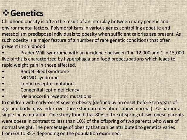 Childhood obesity and nutrition essay