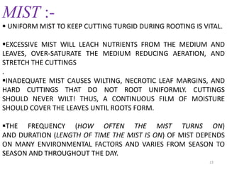 23
MIST :-
 UNIFORM MIST TO KEEP CUTTING TURGID DURING ROOTING IS VITAL.
EXCESSIVE MIST WILL LEACH NUTRIENTS FROM THE MEDIUM AND
LEAVES, OVER-SATURATE THE MEDIUM REDUCING AERATION, AND
STRETCH THE CUTTINGS
.
INADEQUATE MIST CAUSES WILTING, NECROTIC LEAF MARGINS, AND
HARD CUTTINGS THAT DO NOT ROOT UNIFORMLY. CUTTINGS
SHOULD NEVER WILT! THUS, A CONTINUOUS FILM OF MOISTURE
SHOULD COVER THE LEAVES UNTIL ROOTS FORM.
THE FREQUENCY (HOW OFTEN THE MIST TURNS ON)
AND DURATION (LENGTH OF TIME THE MIST IS ON) OF MIST DEPENDS
ON MANY ENVIRONMENTAL FACTORS AND VARIES FROM SEASON TO
SEASON AND THROUGHOUT THE DAY.
 