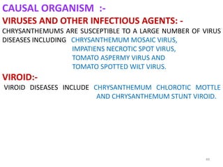 49
CAUSAL ORGANISM :-
VIRUSES AND OTHER INFECTIOUS AGENTS: -
CHRYSANTHEMUMS ARE SUSCEPTIBLE TO A LARGE NUMBER OF VIRUS
DISEASES INCLUDING CHRYSANTHEMUM MOSAIC VIRUS,
IMPATIENS NECROTIC SPOT VIRUS,
TOMATO ASPERMY VIRUS AND
TOMATO SPOTTED WILT VIRUS.
VIROID:-
VIROID DISEASES INCLUDE CHRYSANTHEMUM CHLOROTIC MOTTLE
AND CHRYSANTHEMUM STUNT VIROID.
 