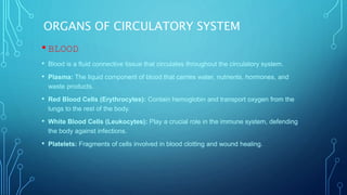 ORGANS OF CIRCULATORY SYSTEM
• BLOOD
• Blood is a fluid connective tissue that circulates throughout the circulatory system.
• Plasma: The liquid component of blood that carries water, nutrients, hormones, and
waste products.
• Red Blood Cells (Erythrocytes): Contain hemoglobin and transport oxygen from the
lungs to the rest of the body.
• White Blood Cells (Leukocytes): Play a crucial role in the immune system, defending
the body against infections.
• Platelets: Fragments of cells involved in blood clotting and wound healing.
 