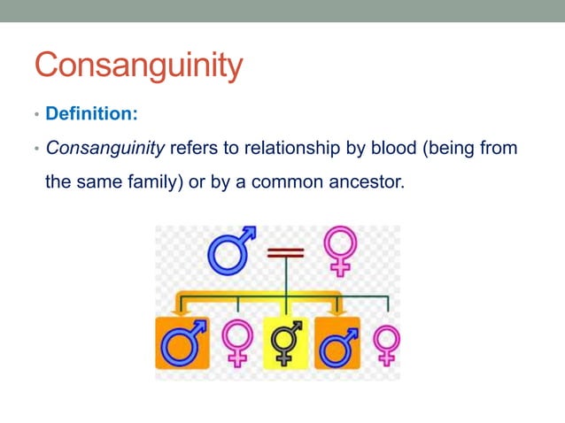 Consanguinity Bedeutet Auf Deutsch – SMDR