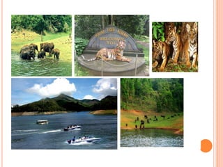 Ppt on cultural and natural tourist centers in kerala | PPTX
