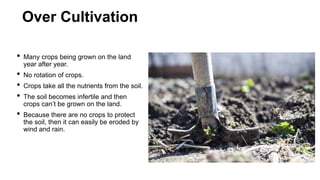 Over Cultivation
• Many crops being grown on the land
year after year.
• No rotation of crops.
• Crops take all the nutrients from the soil.
• The soil becomes infertile and then
crops can’t be grown on the land.
• Because there are no crops to protect
the soil, then it can easily be eroded by
wind and rain.
 
