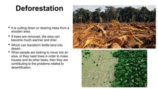 Deforestation
• It is cutting down or clearing trees from a
wooden area.
• If trees are removed, the area can
become much warmer and drier.
• Which can transform fertile land into
desert.
• When people are looking to move into an
area, or they need trees in order to make
houses and do other tasks, then they are
contributing to the problems related to
desertification.
 