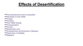 Effects of Desertification
➡Farming becomes next to impossible
➡Decrease in Crop Yields
➡Hunger
➡Flooding
➡Poor Water Quality
➡Overpopulation
➡Poverty
➡Biodiversity Loss
➡Endangerment and Extinction of Species
➡Destruction of Habitats
➡Migration
 
