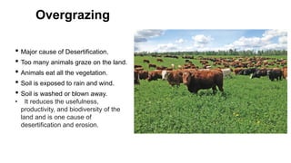 Overgrazing
• Major cause of Desertification.
• Too many animals graze on the land.
• Animals eat all the vegetation.
• Soil is exposed to rain and wind.
• Soil is washed or blown away.
• It reduces the usefulness,
productivity, and biodiversity of the
land and is one cause of
desertification and erosion.
 