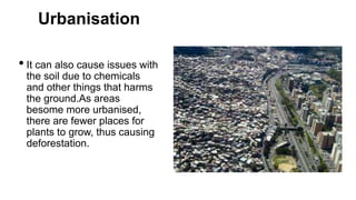 Urbanisation
• It can also cause issues with
the soil due to chemicals
and other things that harms
the ground.As areas
besome more urbanised,
there are fewer places for
plants to grow, thus causing
deforestation.
 